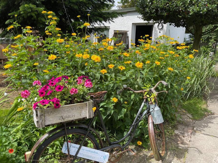 Tiny House Ostsee # Naturwerk Pruchten 외부 사진