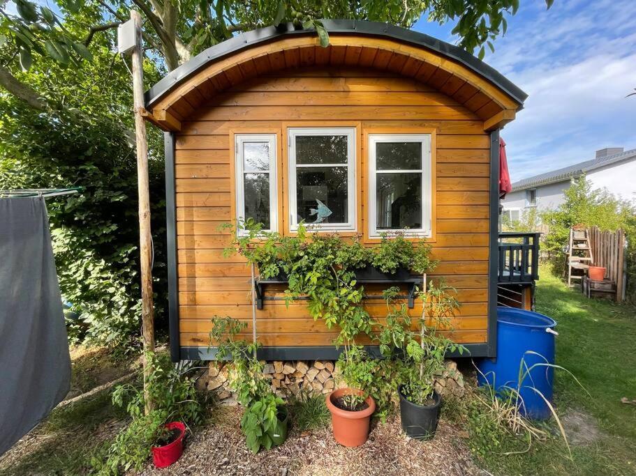 Tiny House Ostsee # Naturwerk Pruchten 외부 사진