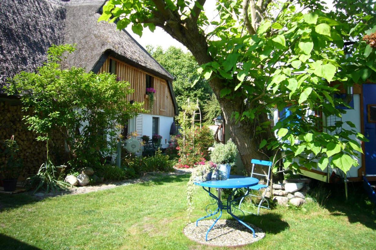 Tiny House Ostsee # Naturwerk Pruchten 외부 사진
