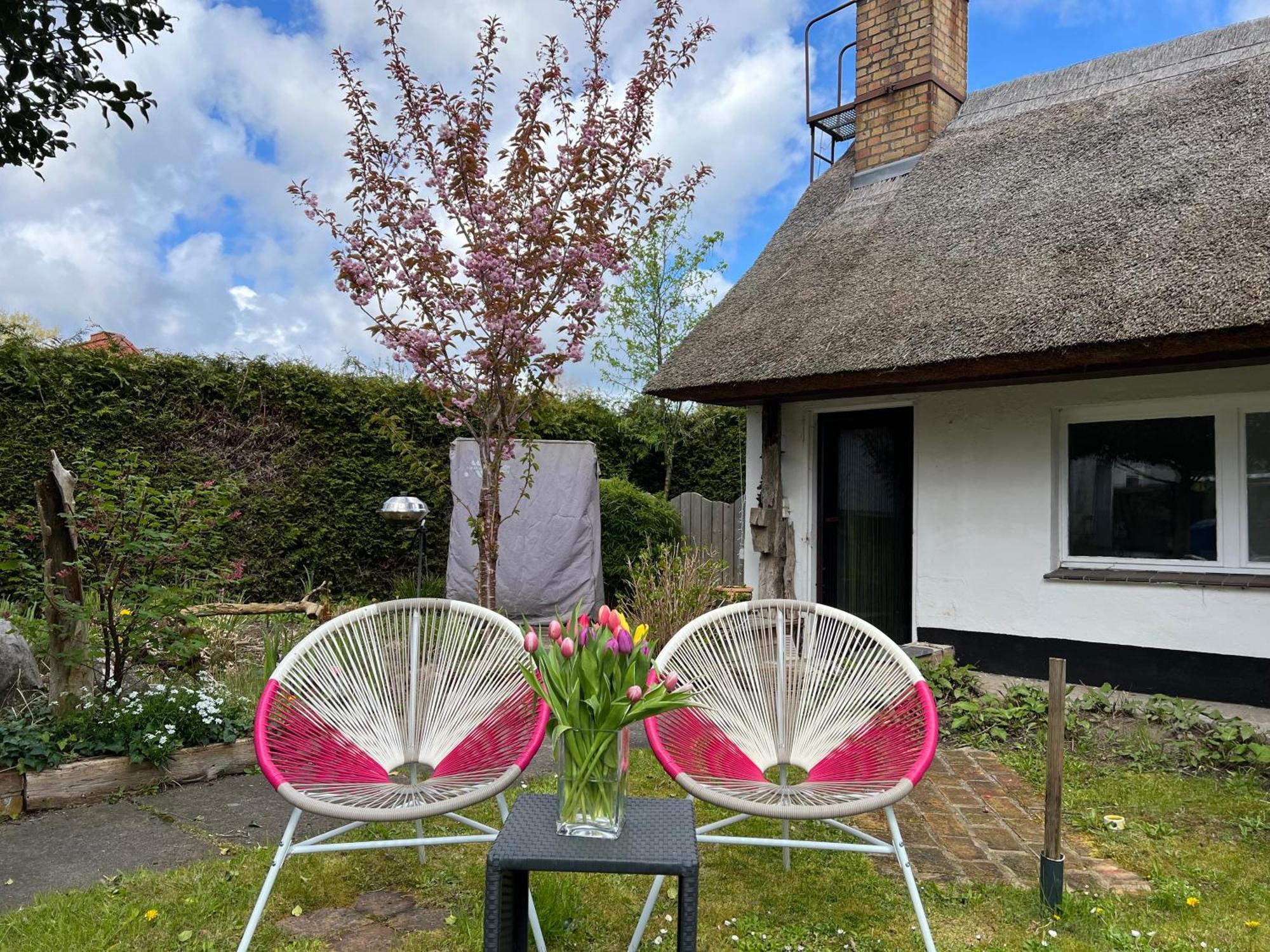 Tiny House Ostsee # Naturwerk Pruchten 외부 사진