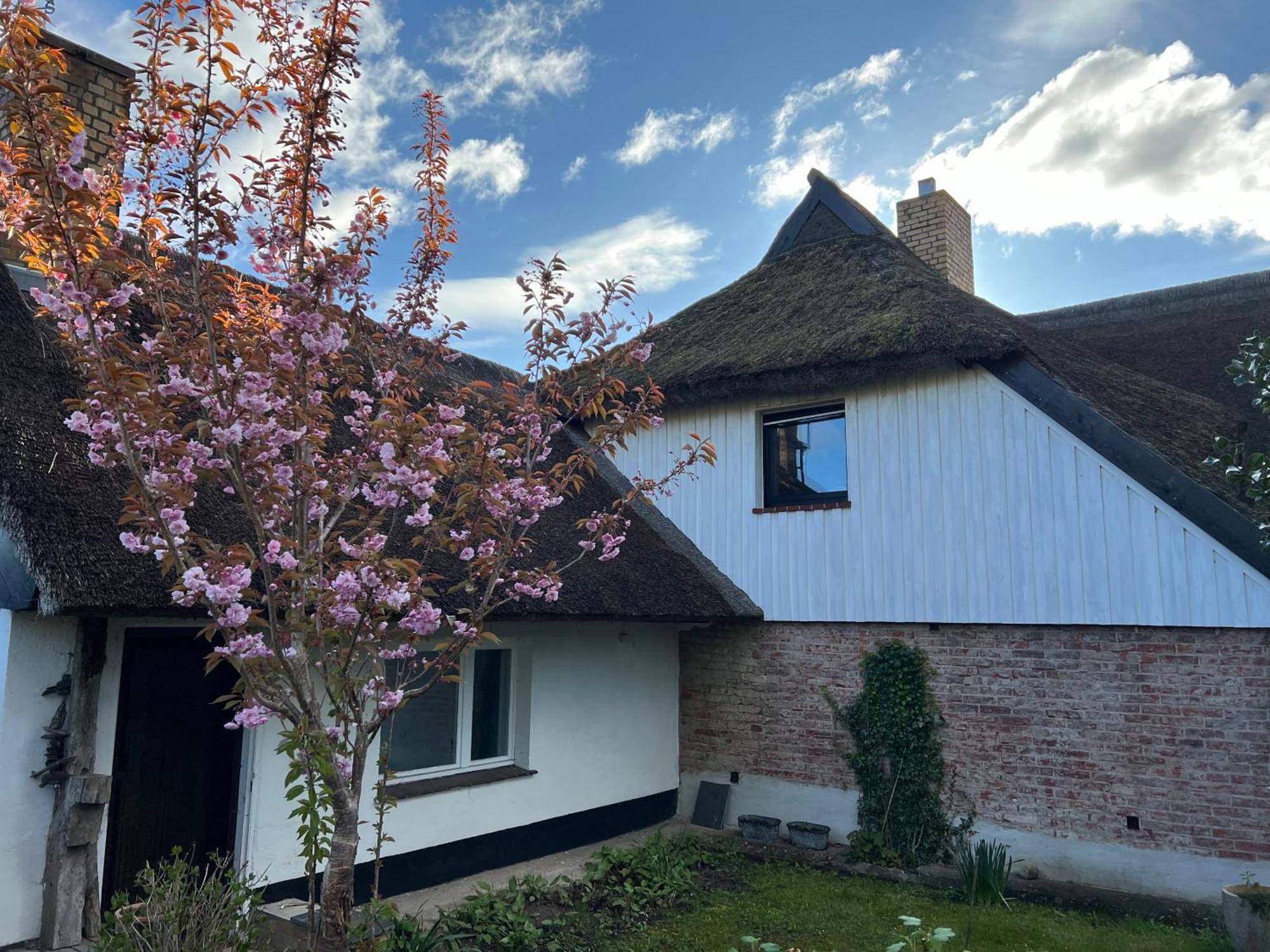 Tiny House Ostsee # Naturwerk Pruchten 외부 사진